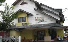Mervit Hotel  2*